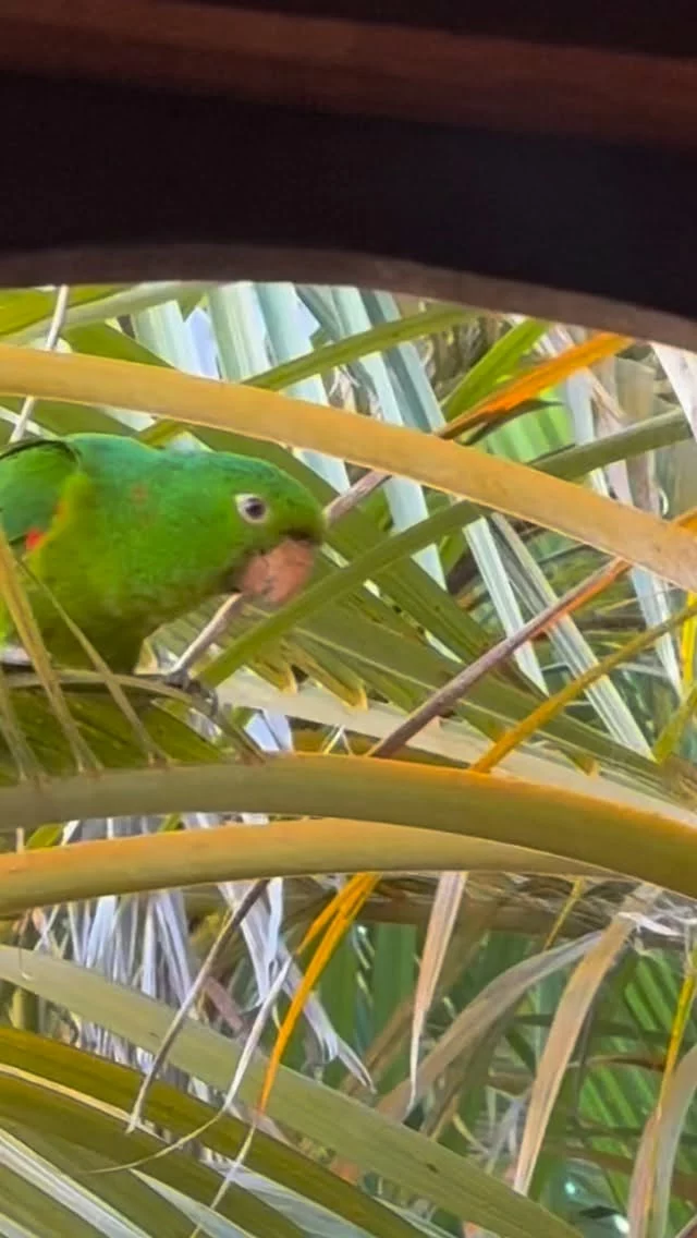 A natureza é o que nos move .