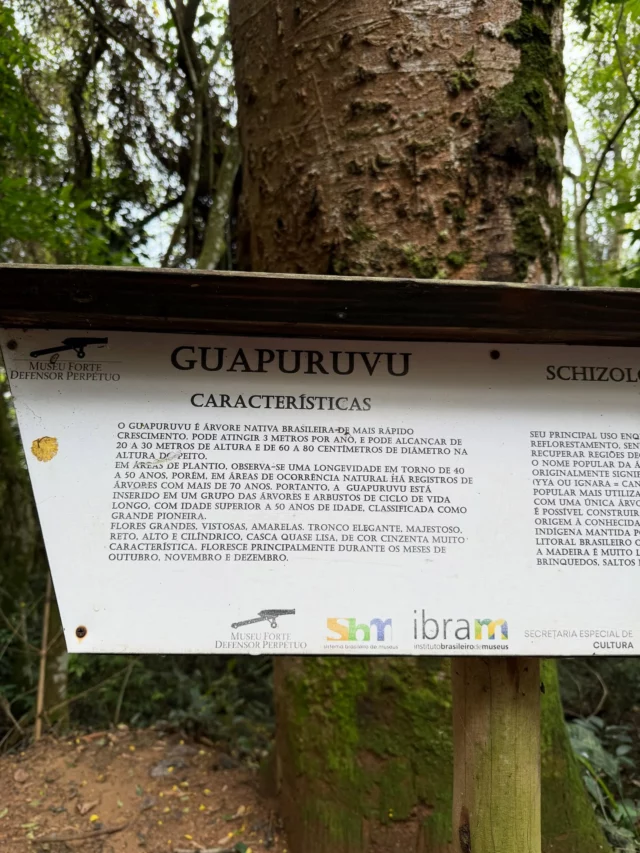 Esculpidas com enxó, as canoas artesanais são feitas com árvores de madeira leve , que flutuam com facilidade, como a Guapuruvu. Uma arte que aos poucos vai desaparecendo , como toda arte , que antigamente era passada de pai para filho . 
Artes que hoje se resumem a serem mostradas em museus , mas que um dia foram profissões que exigiam conhecimento e técnica .
Qualquer semelhança com nossa arte em Ecoprint não é coincidência . São peças únicas , que dependem exclusivamente do conhecimento da técnica , do bom gosto do artesão , da qualidade do material . 
São artes feitas para se usar .